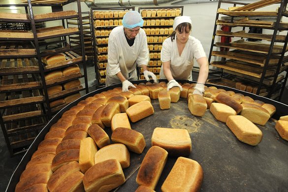 Производство хлеба в Московской области не растёт